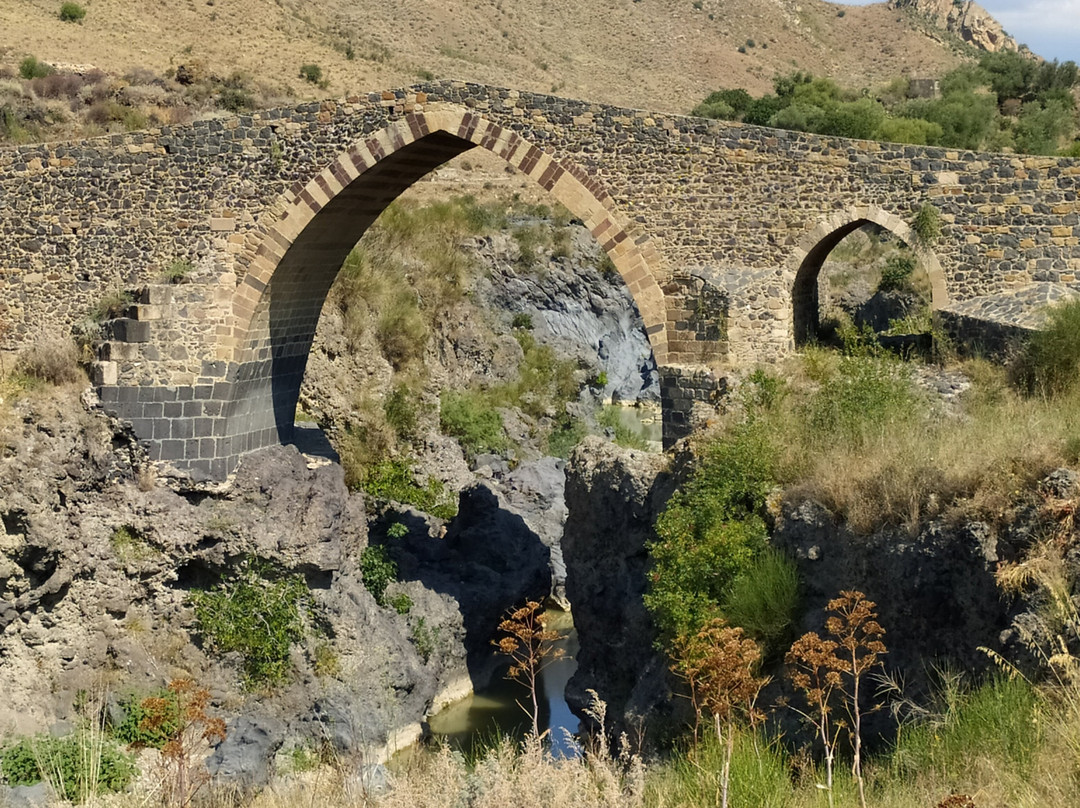 Ponte dei Saraceni景点图片
