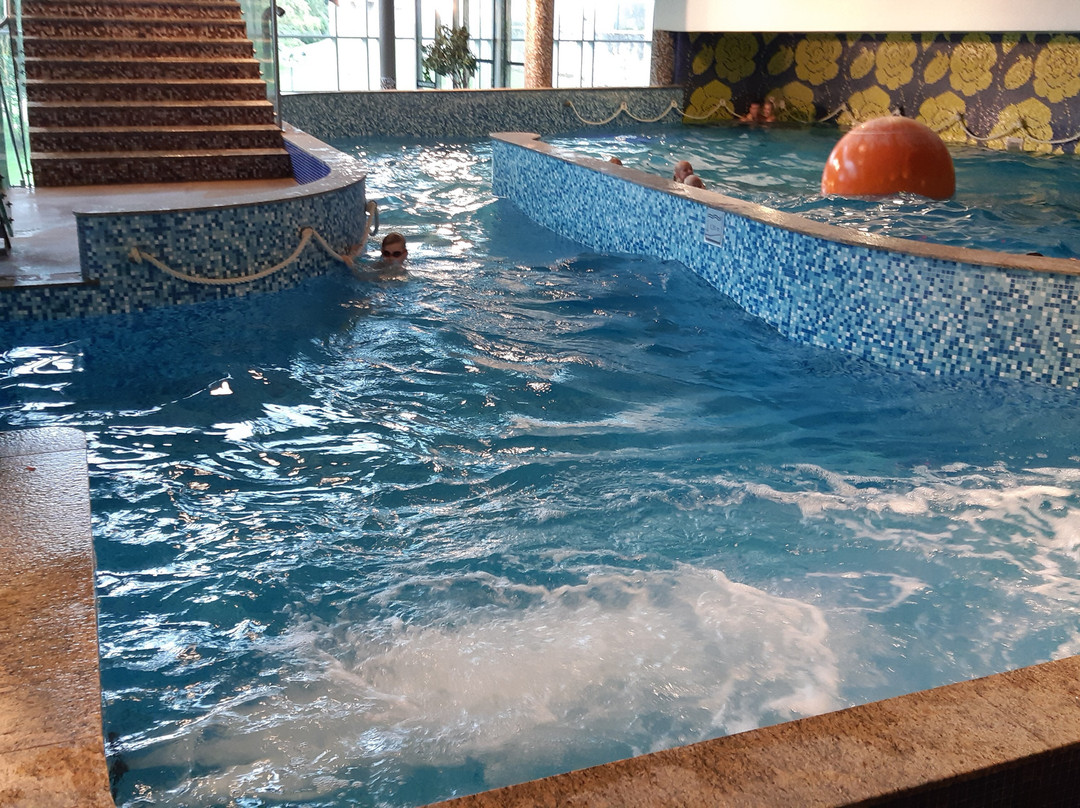 Aqva Hotel & Spa Water Park and Sauna Complex景点图片