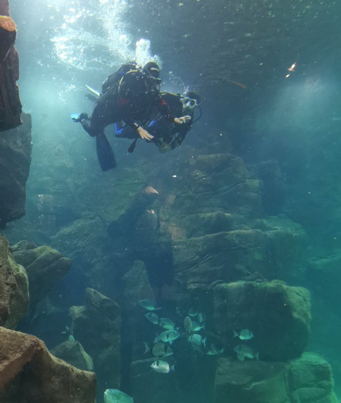 Lava Diving Center-莫尼什港必去景点