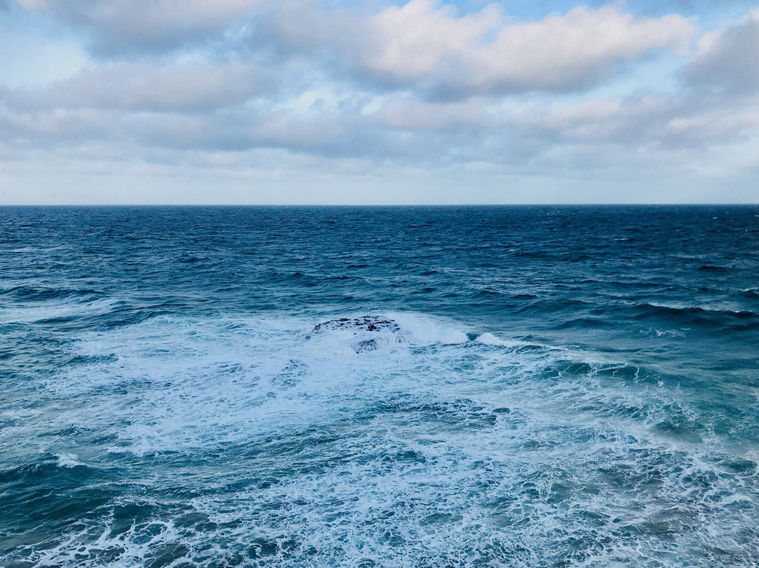 Eagle Rock Marine Sanctuary-Aireys Inlet必去景点