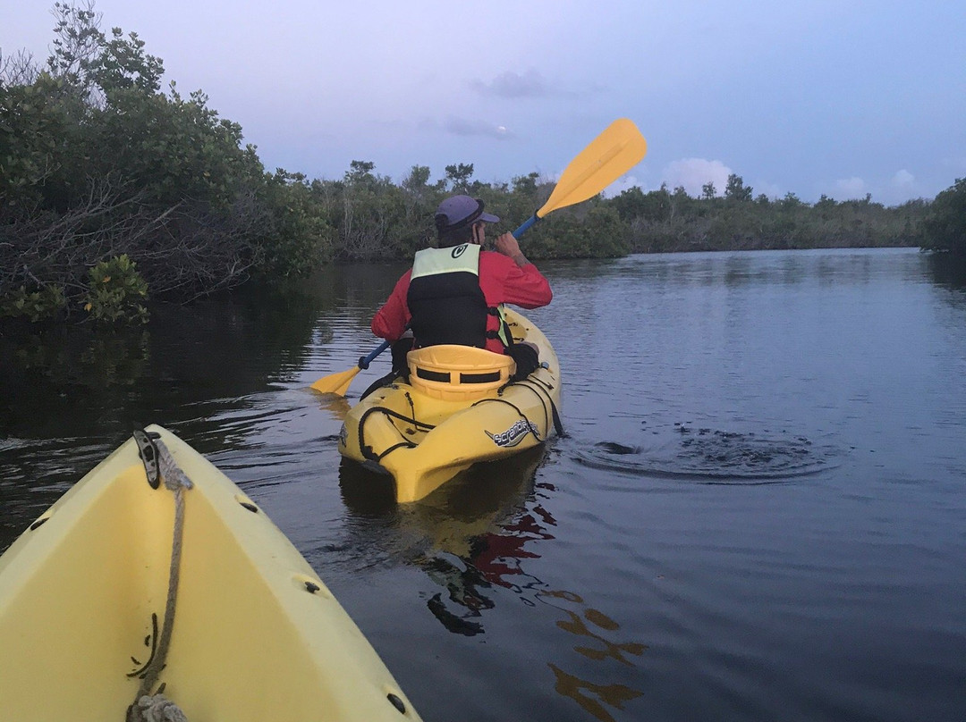 Virgin Island EcoTours - St. Thomas Tours-圣 托马斯必去景点