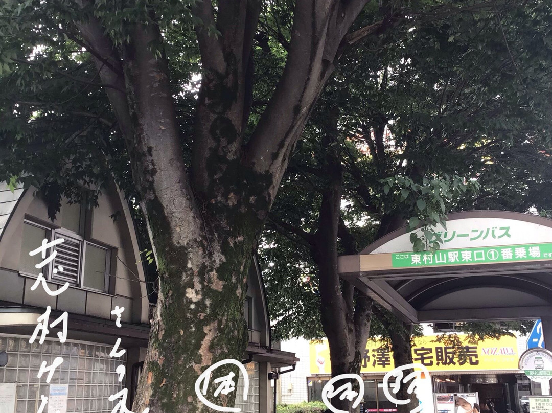 Ken Shimura Tree-东村山市必去景点