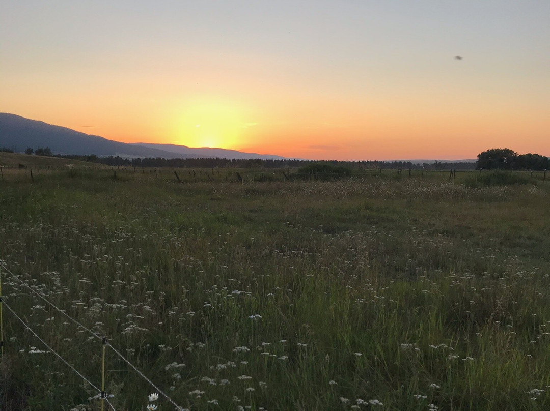 Mountain View Motel & Rv Park主图