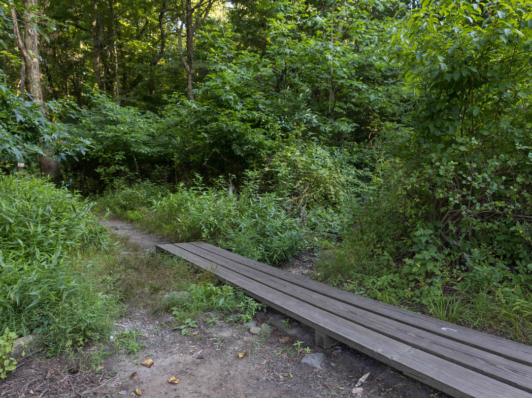Tenafly Nature Center景点图片
