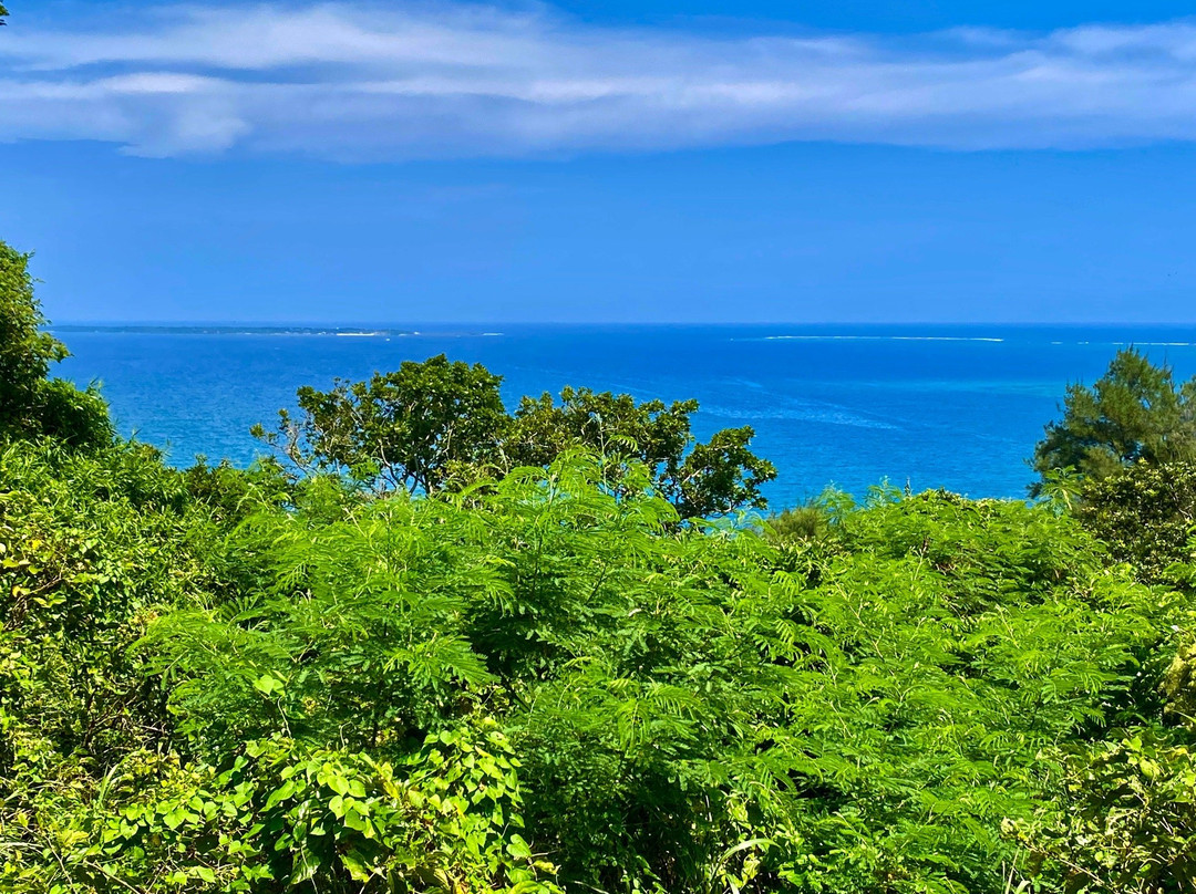 Kudakajima Yohaijo景点图片