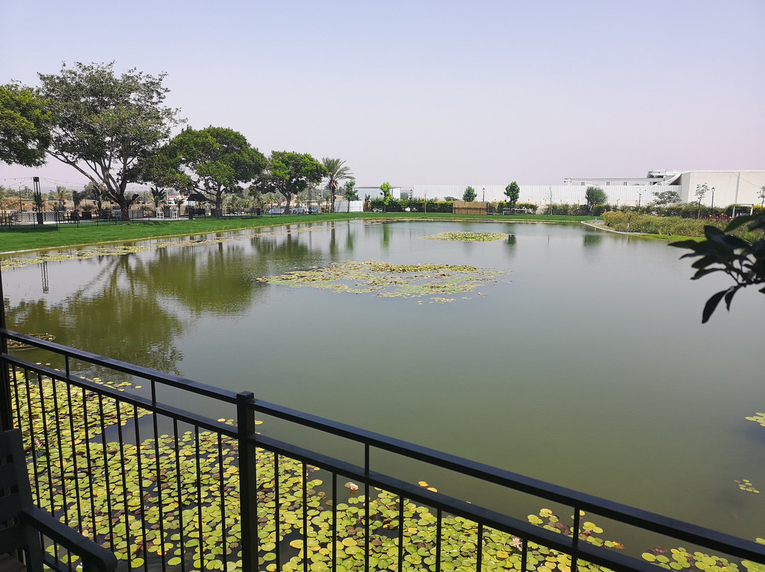 Dream Island Spa & Health Resort主图