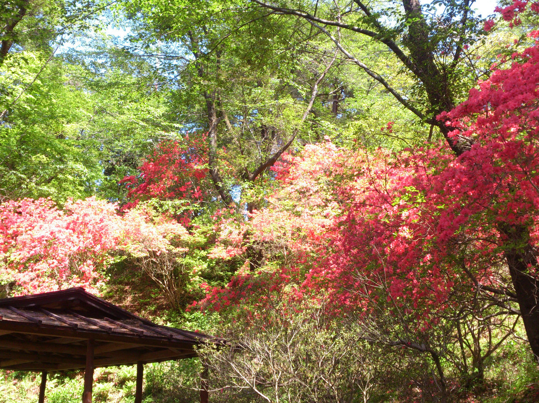 Karasugamori park-那须盐原市必去景点