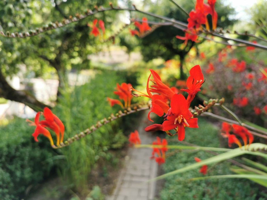 Jardin de Wiltz-Wiltz必去景点