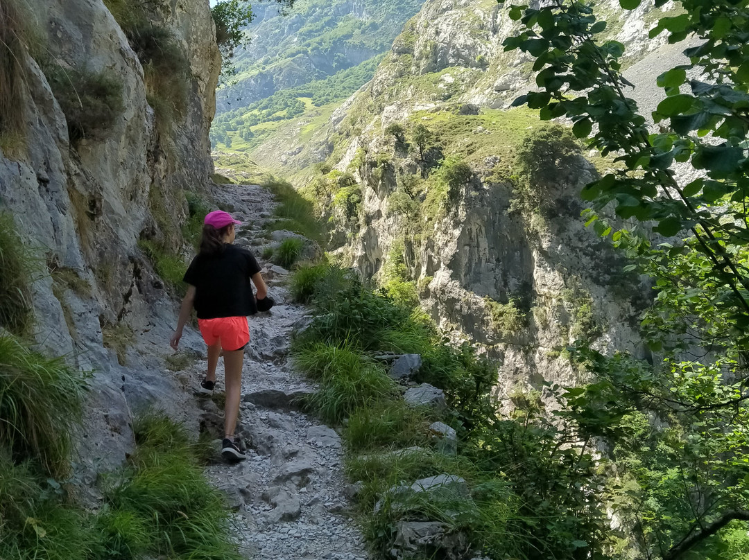 Mirador Naranjo de Bulnes景点图片