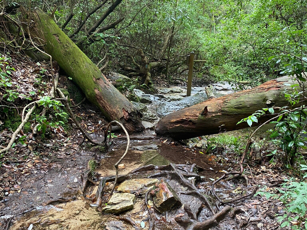 Wolf's Den Hiking Trail-Warm Springs必去景点