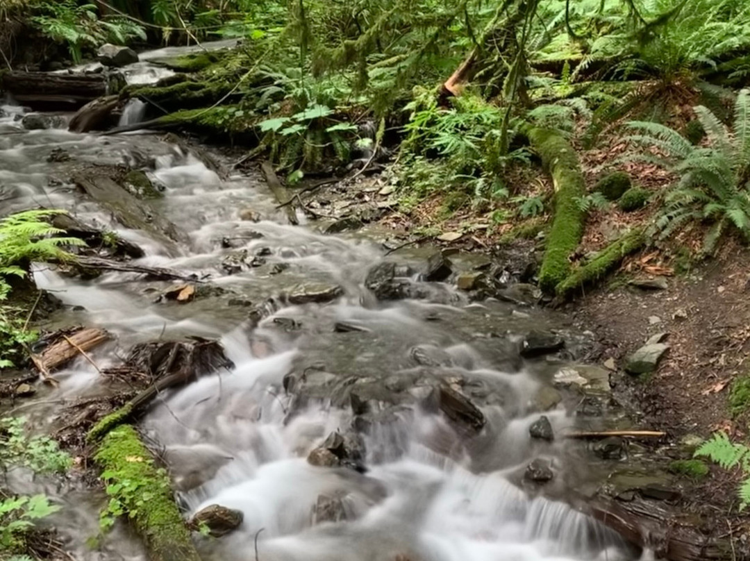 Bridal Veil Falls Provincial Park景点图片