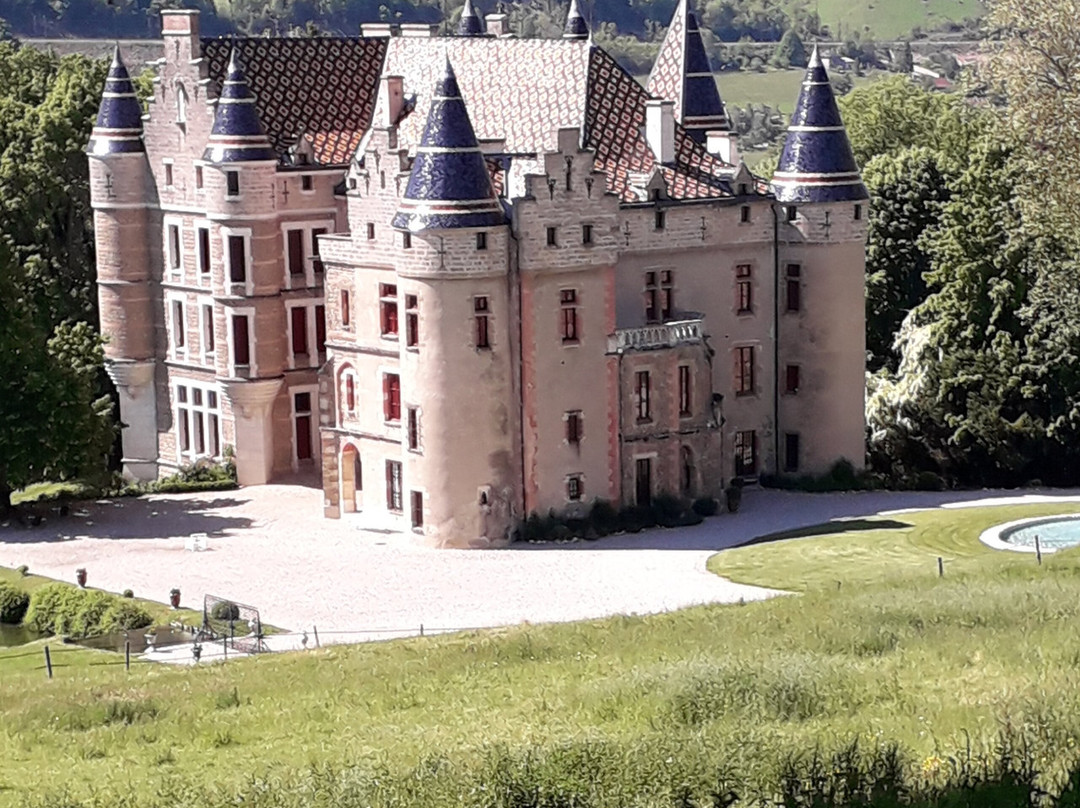 Château de Pupetières景点图片