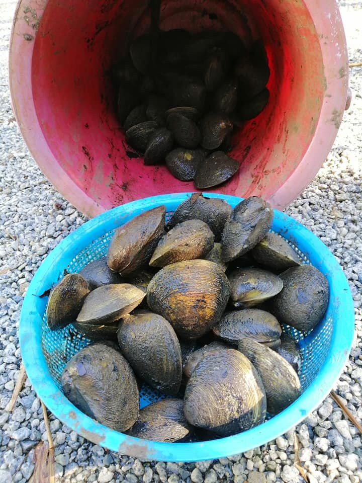 Min House Camp-家庭/游戏区