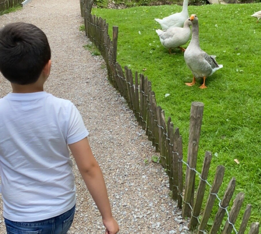 Tierpark Bad Pyrmont-Bad Pyrmont必去景点