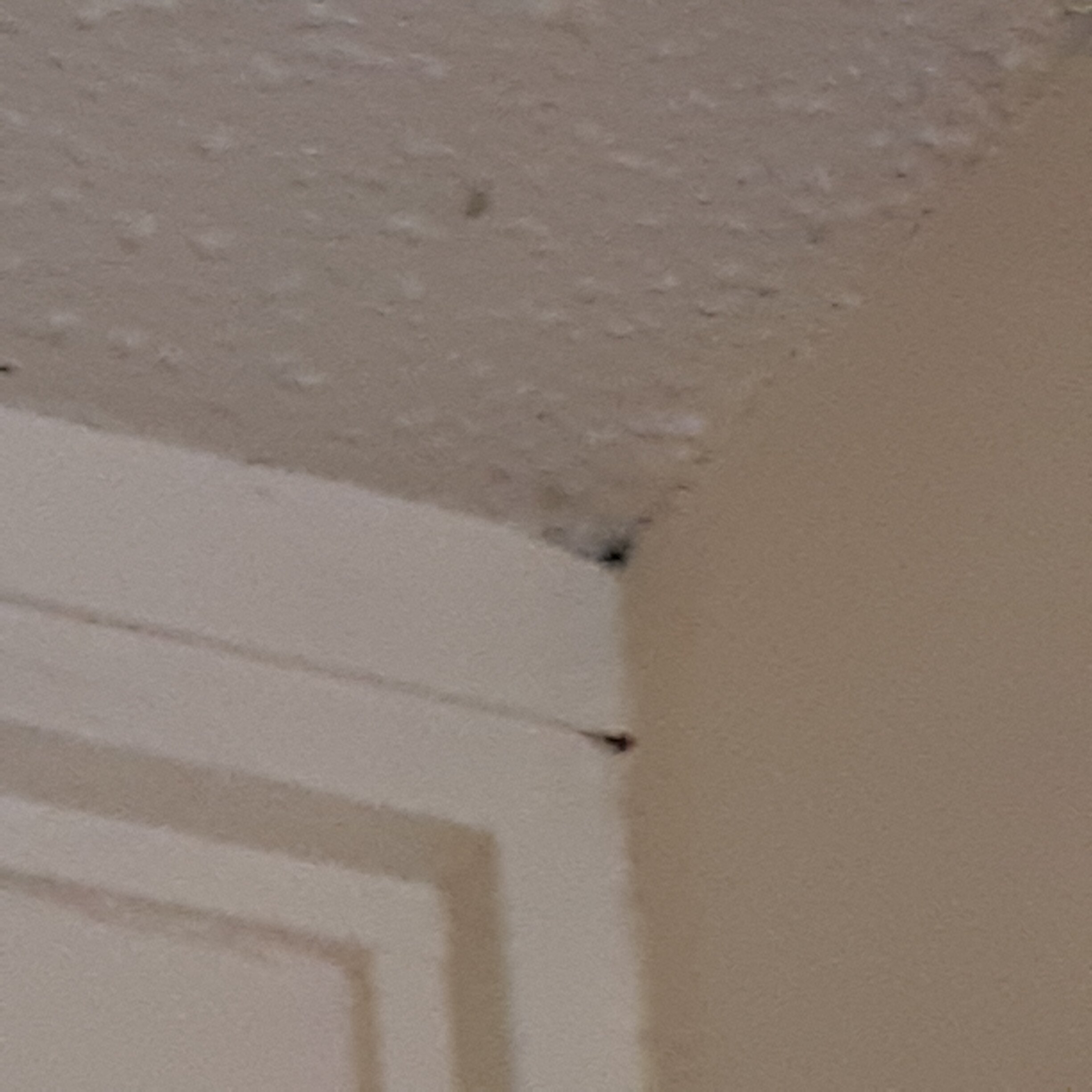 Sure Stay Plus By Best Western St Marys-官方