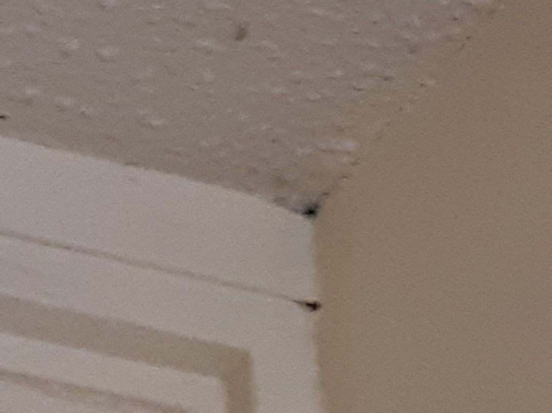 Sure Stay Plus By Best Western St Marys主图