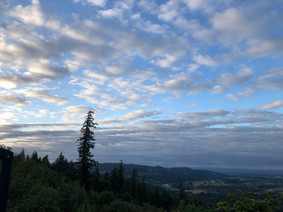 Chehalem Ridge Bed and Breakfast主图