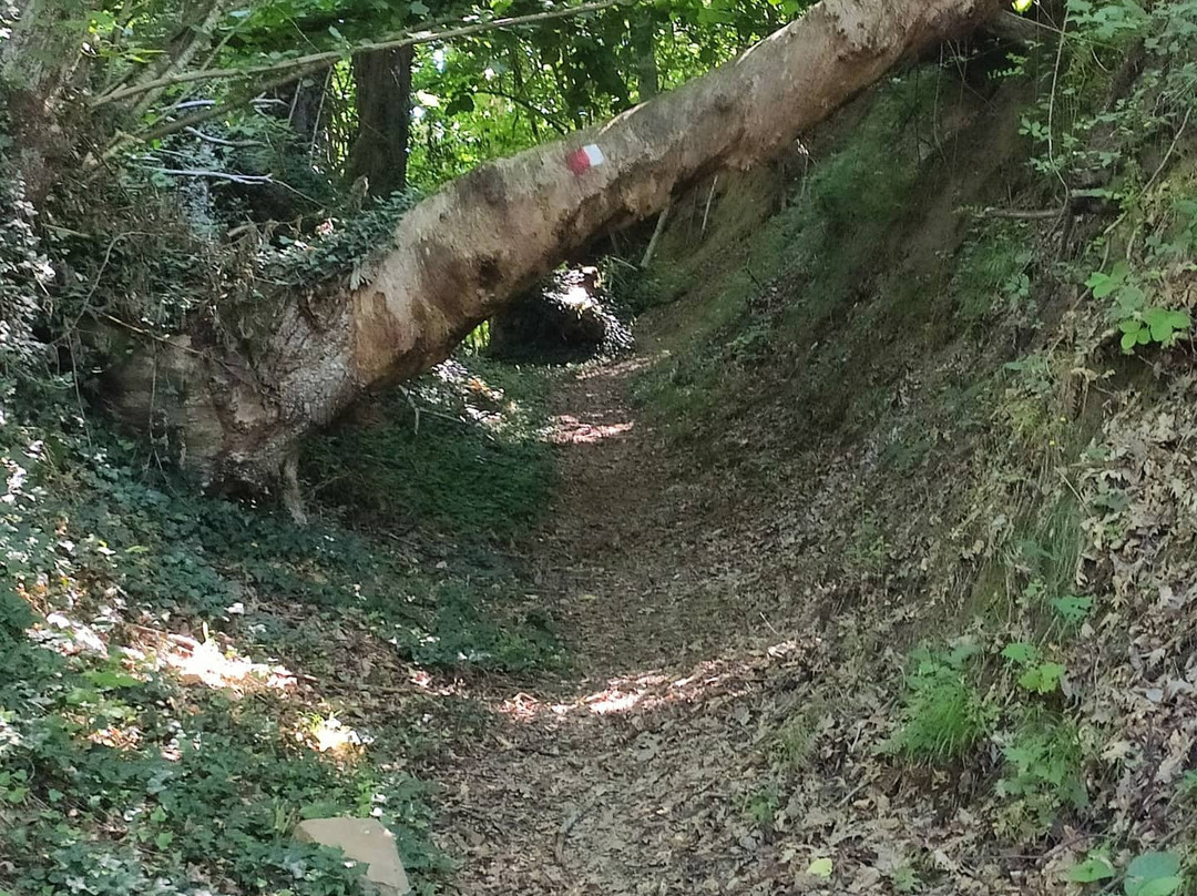 Il Cammino dei Briganti-Sante Marie必去景点