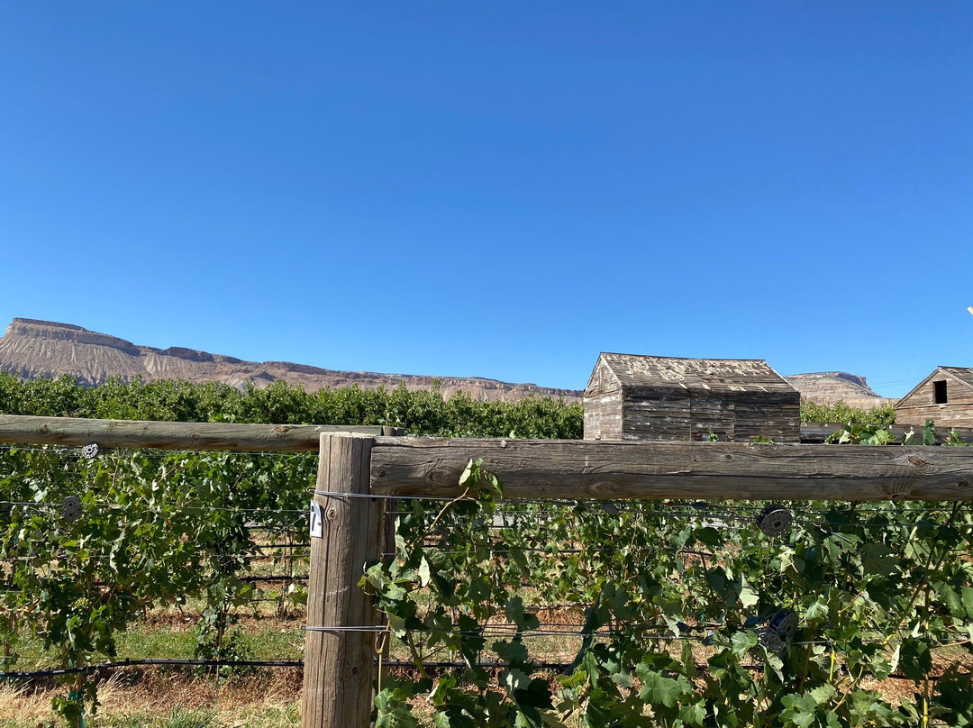 Restoration Vineyards景点图片