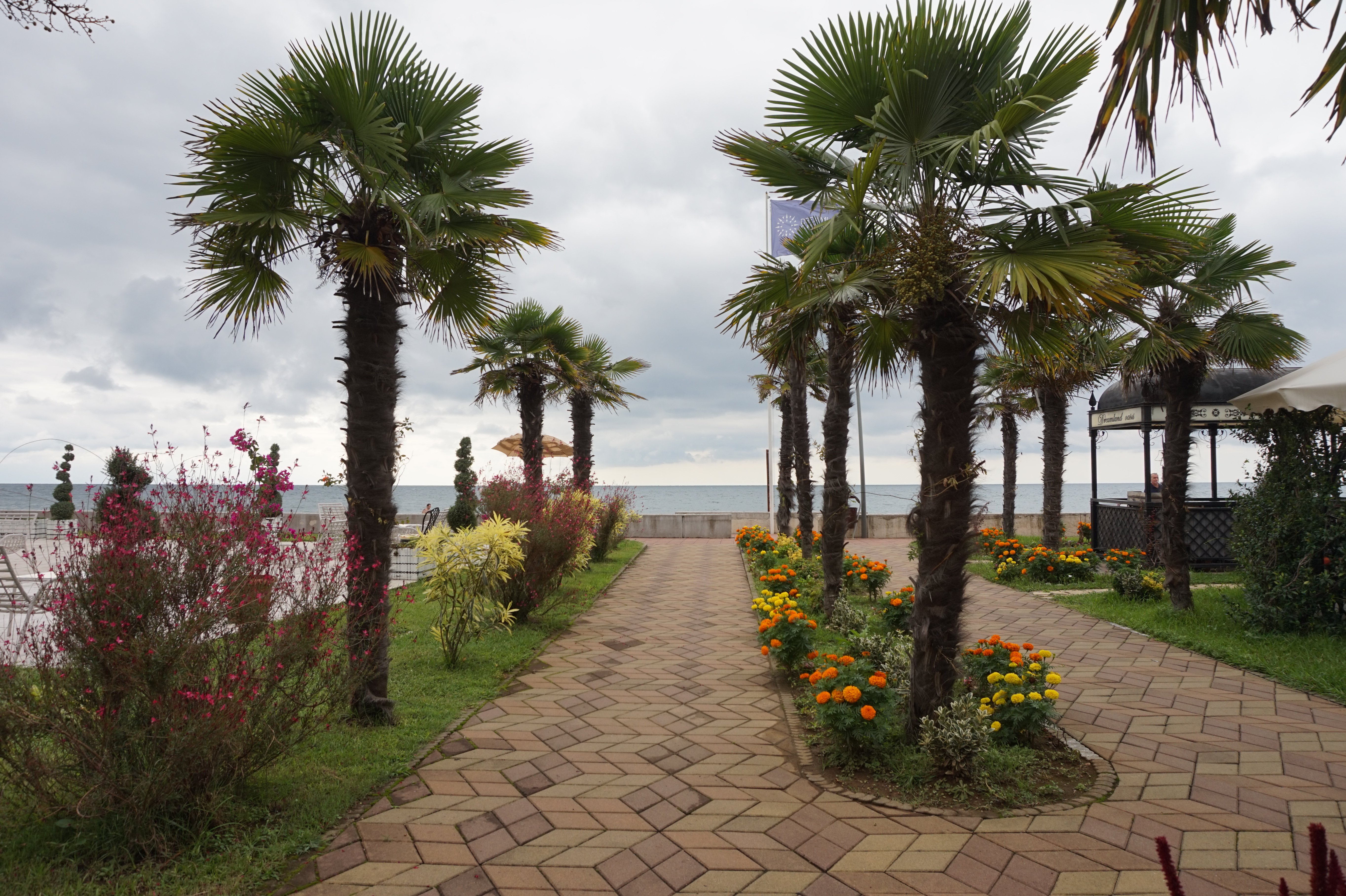 Hotel Dreamland Oasis-泳池