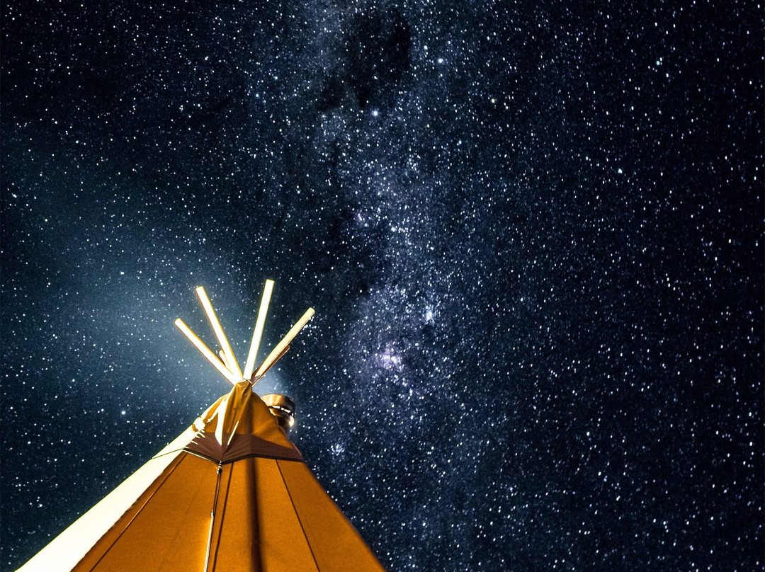 Alpine Nature Experience-Mount Hotham必去景点