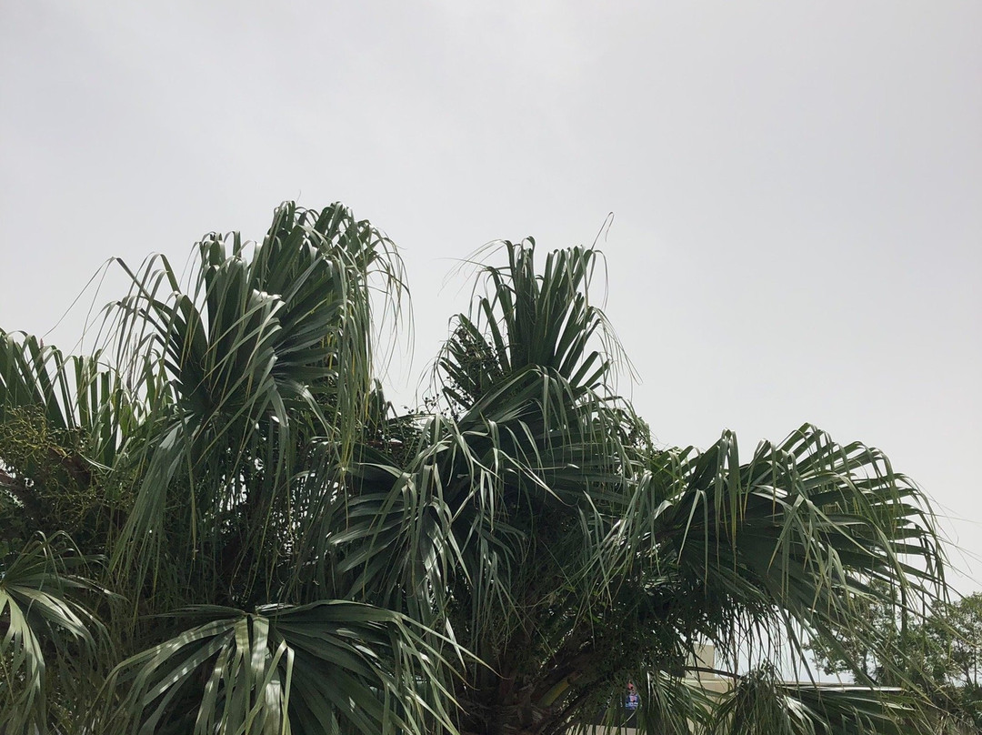 IP Casino Resort-比洛克西必去景点