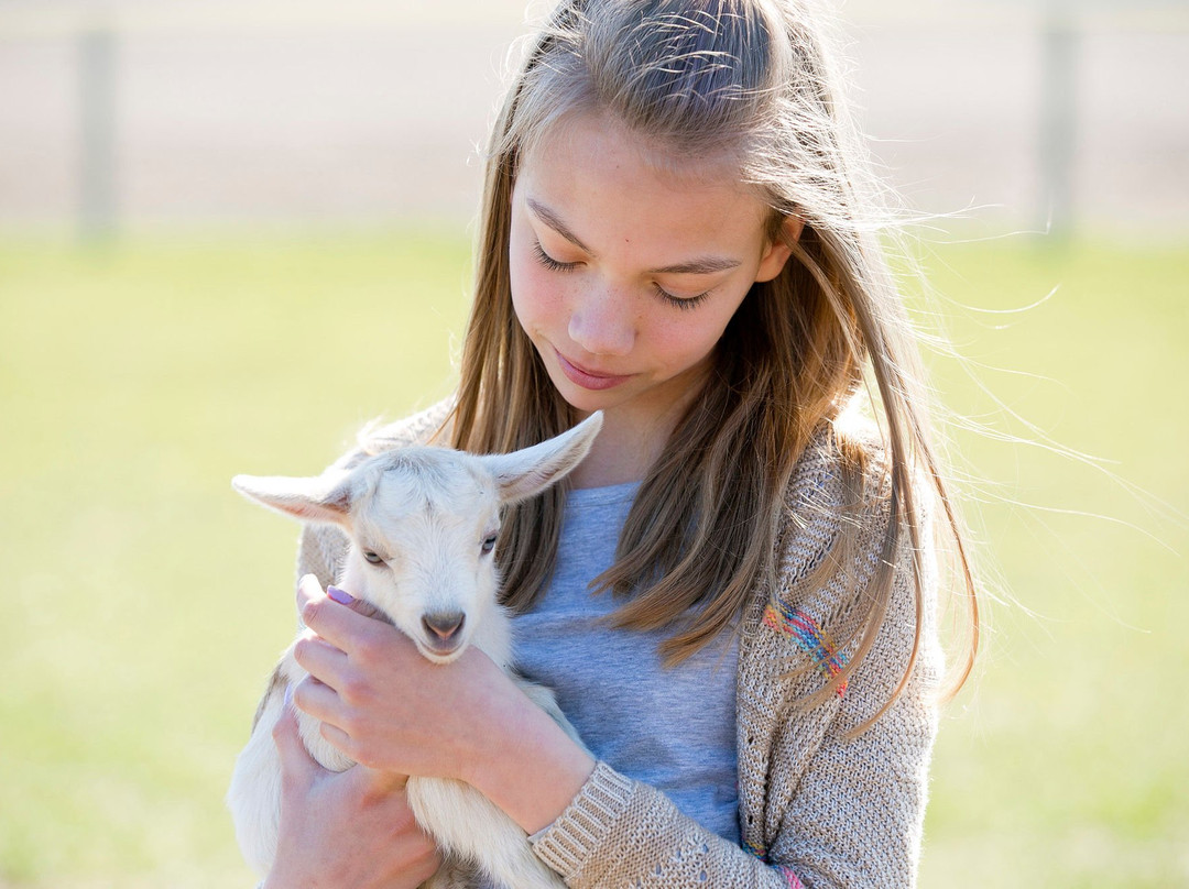Mulberry Lane Farm-Hilbert必去景点