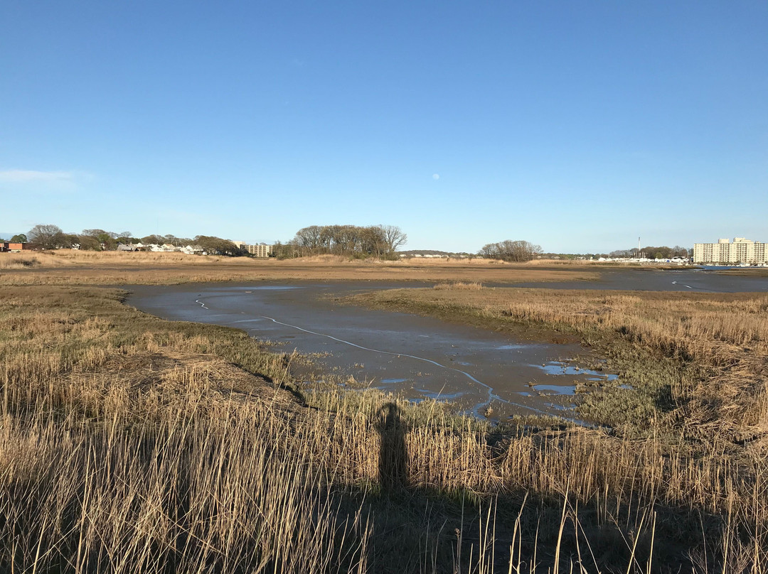 Passanageset Park-昆西必去景点