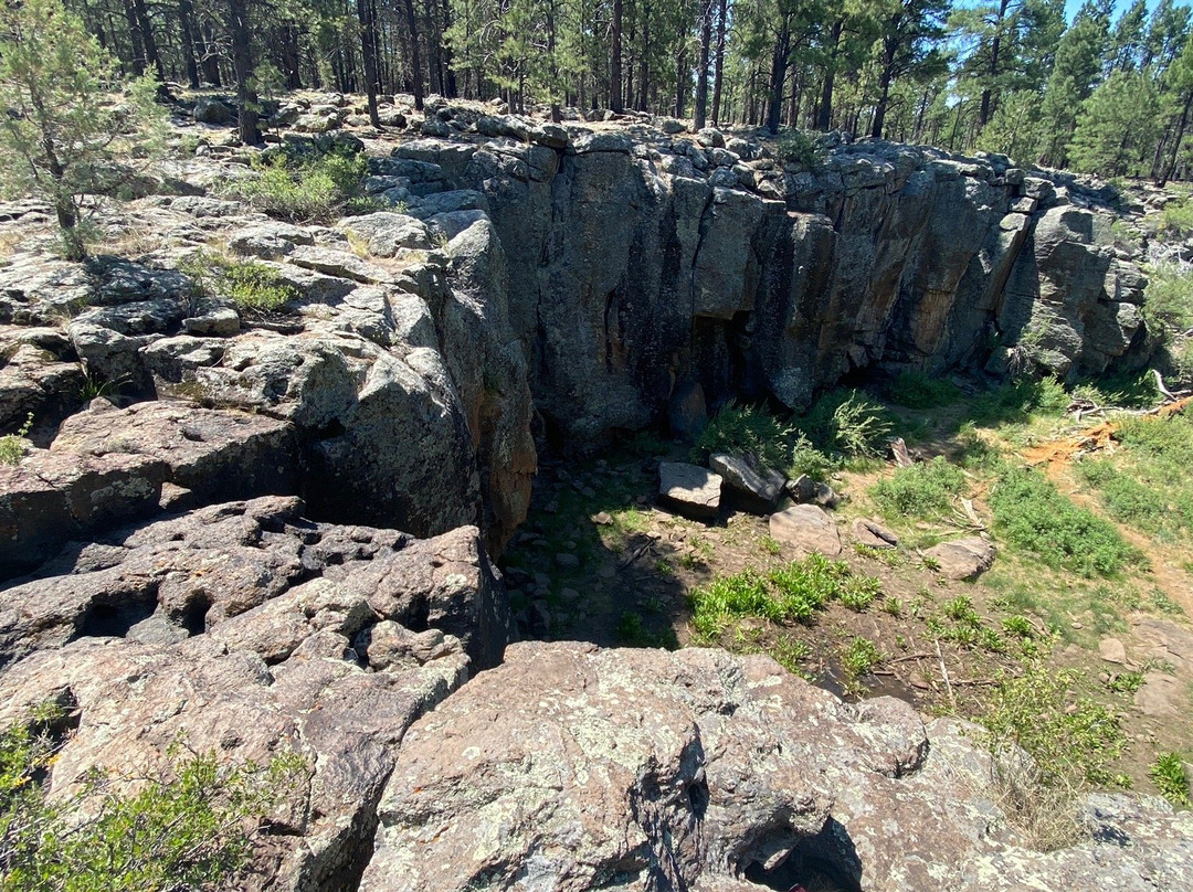 Kaibab Petroglyphs-威廉姆斯必去景点
