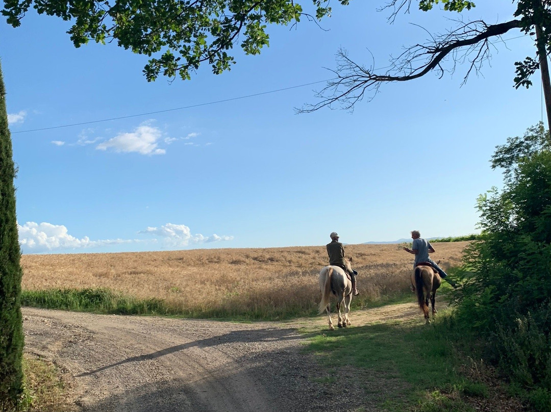 IL MISSOURI-Buonconvento必去景点