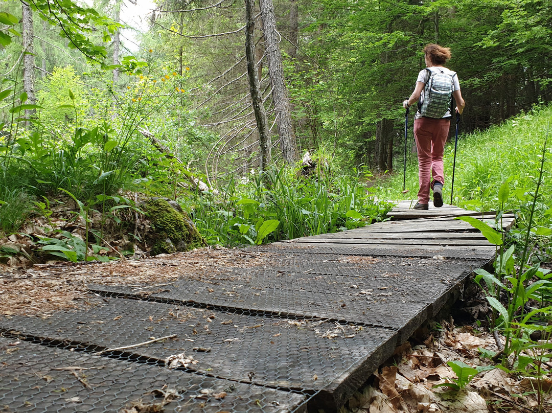WalkItalyTours-卡利亚里省必去景点