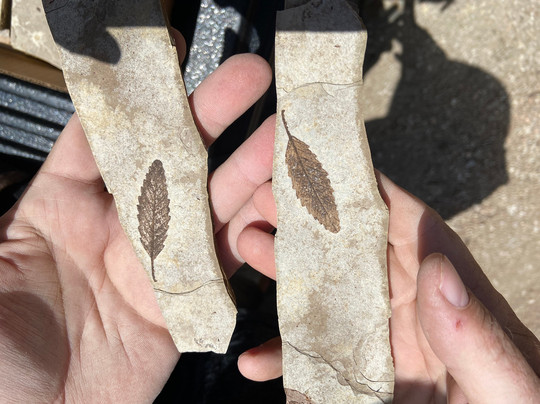 Florissant Fossil Quarry-Florissant必去景点