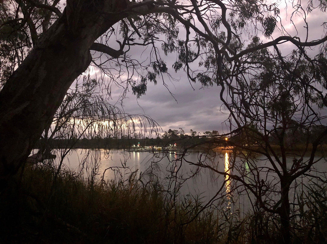 Swan Reach Ferry景点图片