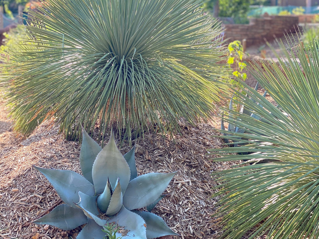 Ponds and Plants-Dayton必去景点
