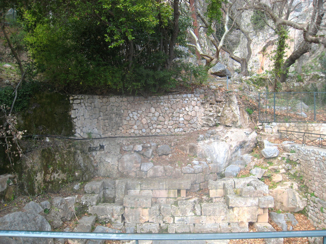 The Castalian Spring