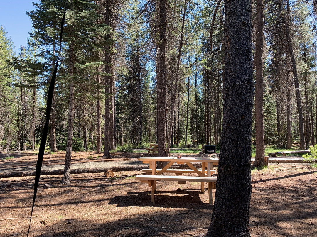 Lemolo Lake / Crater Lake North KOA主图