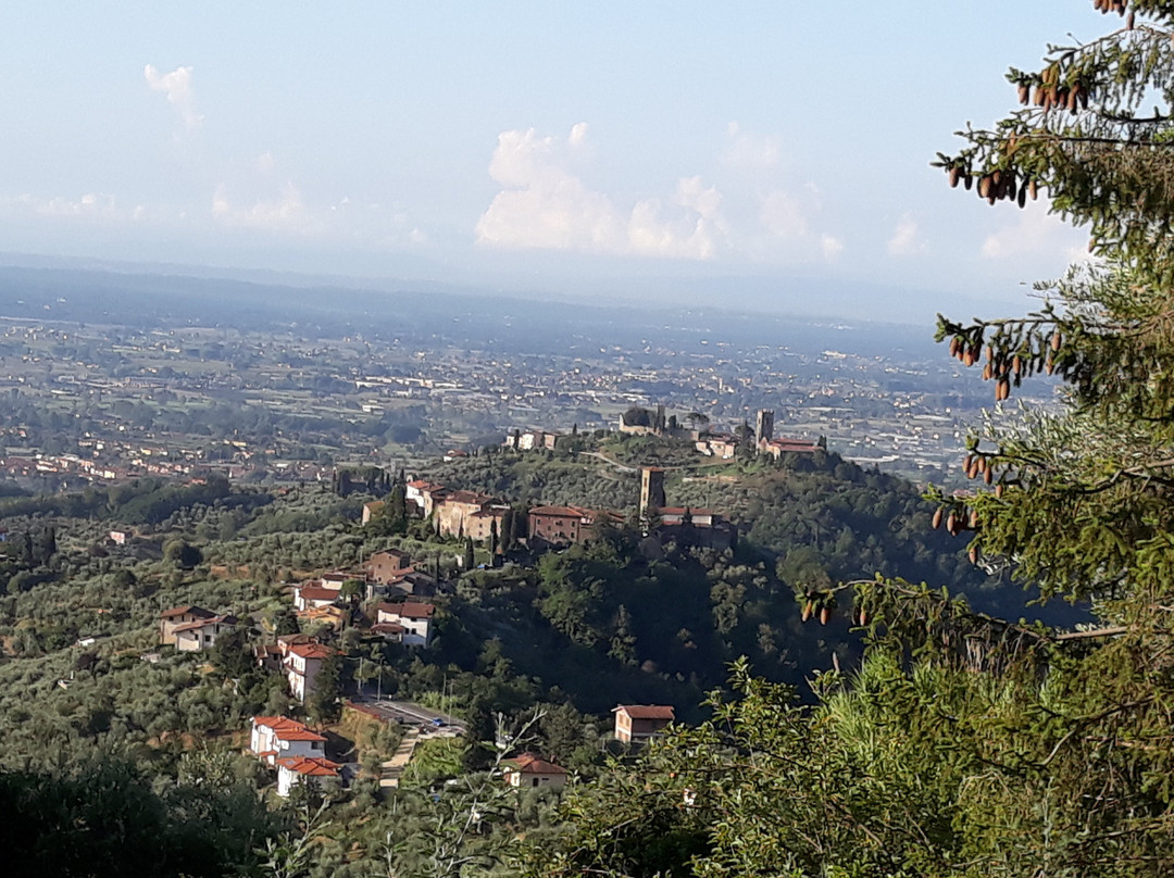 Borgo di Massa景点图片