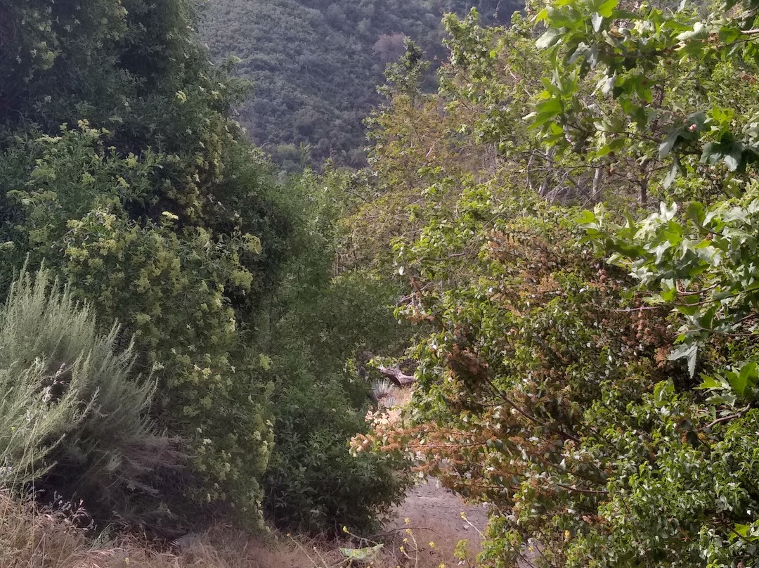 Lytle Creek Middle Fork Trail-Lytle Creek必去景点