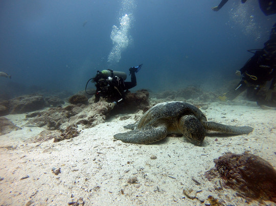 The Darwin Path - Travel Agency-阿约拉港必去景点