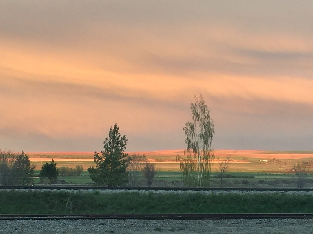 阿斯彭渡口-Mossleigh必去景点