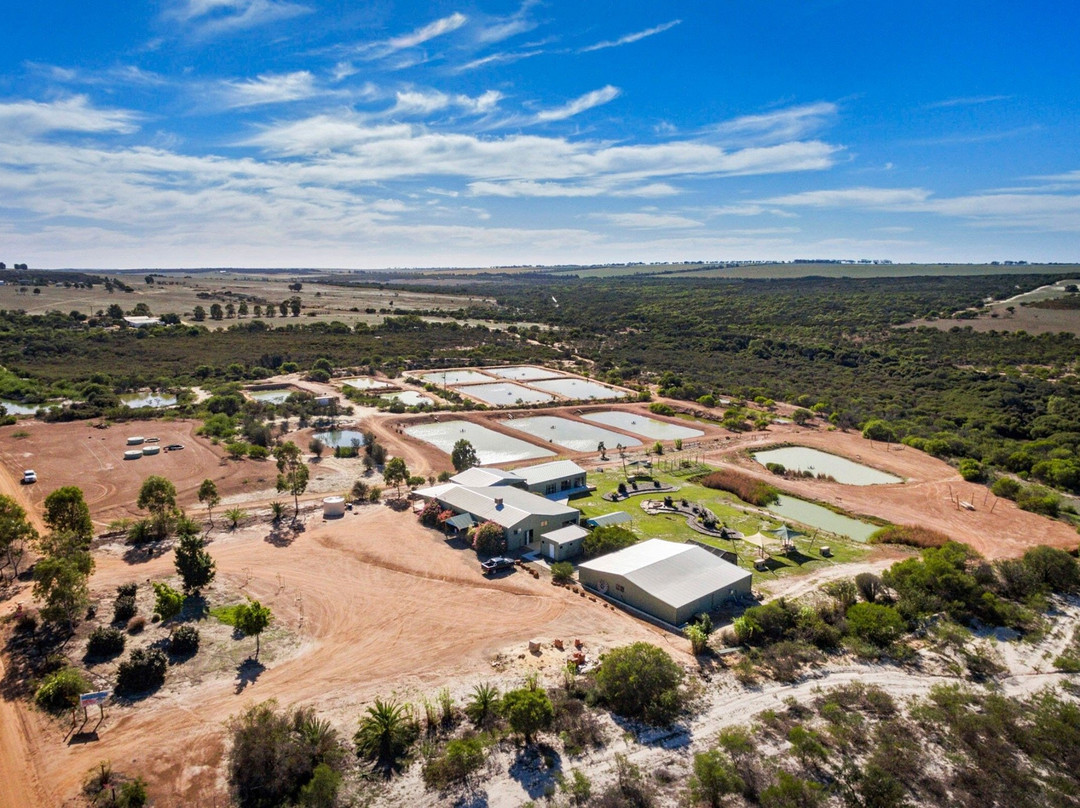 Chapman Valley Fishing Park-Nabawa必去景点