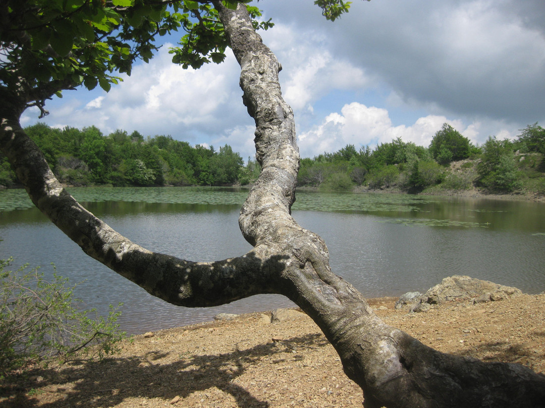 Sentiero Attrezzato Lago Moo E Lago Bino景点图片