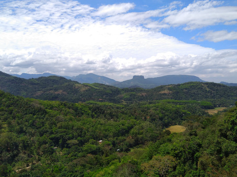 Insight Sri Lanka Eco Tourism - Dave de Silva-拉非尼亚山必去景点