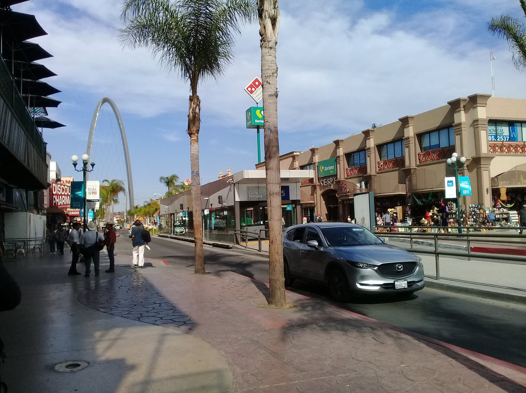 Tijuana Arch景点图片