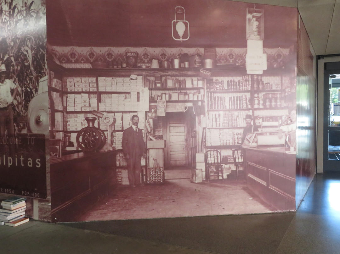 Milpitas Public Library-米尔皮塔斯必去景点