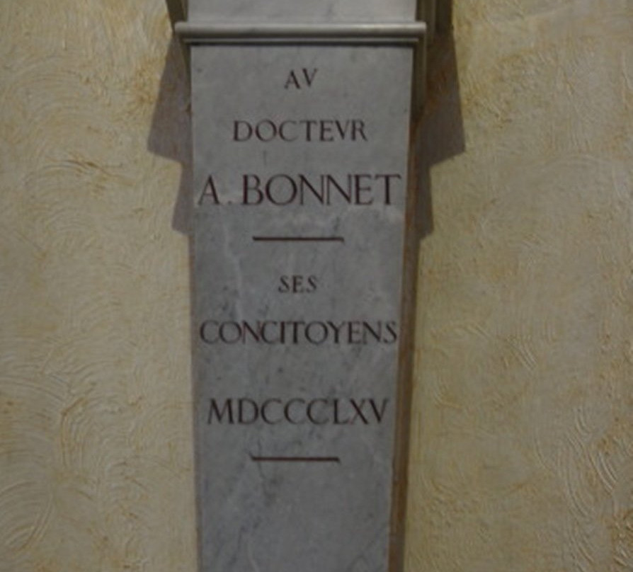 Bust of Docteur Amédée Bonnet景点图片