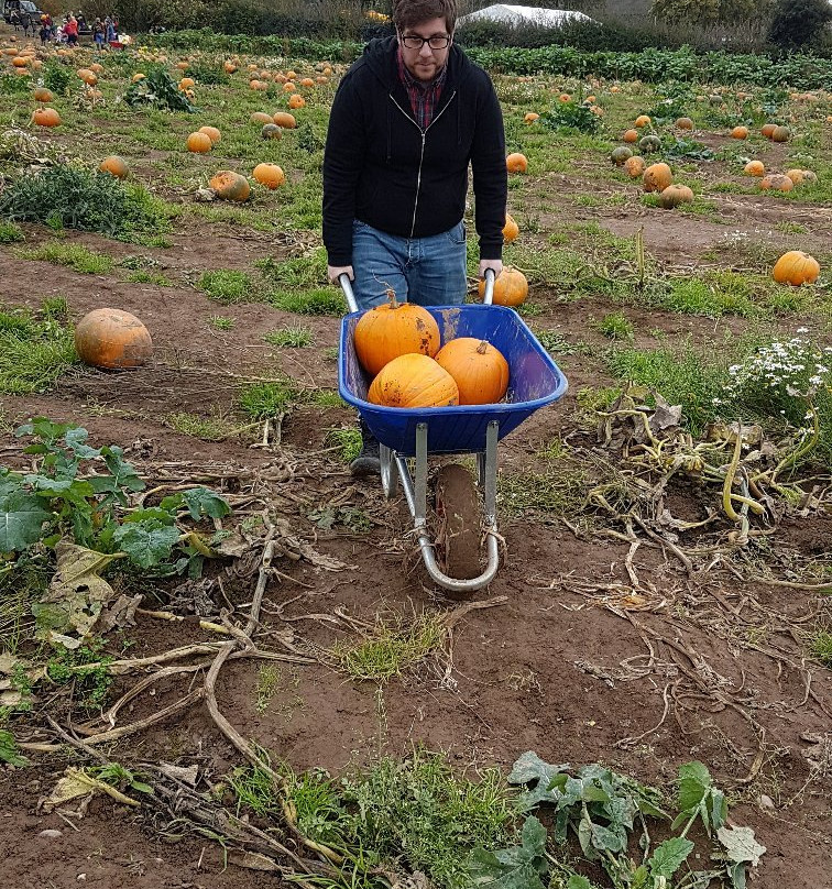 Mr Pumpkin景点图片
