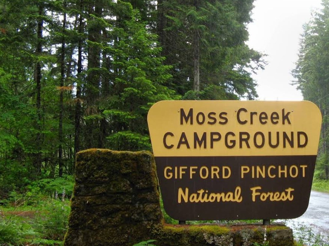 Moss Creek Campground