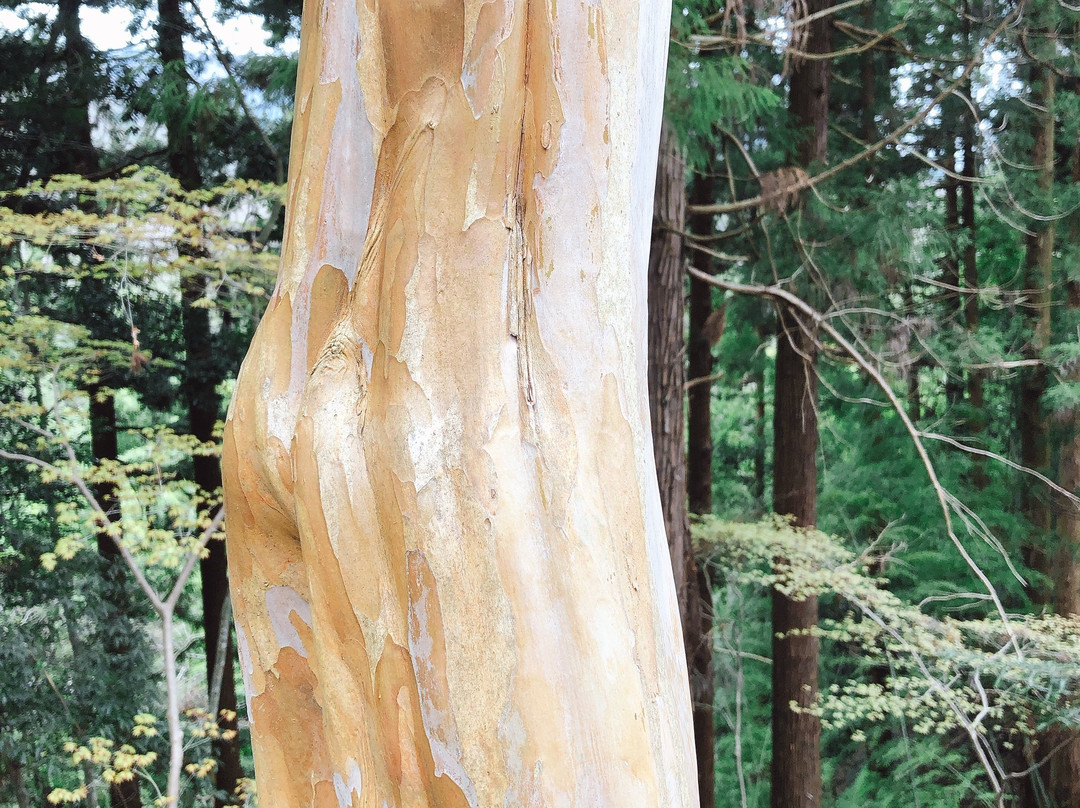 Ryozen Shrine-伊达市必去景点