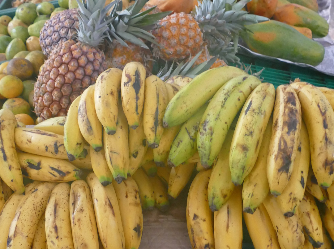 Plaza de Mercado-Honda必去景点